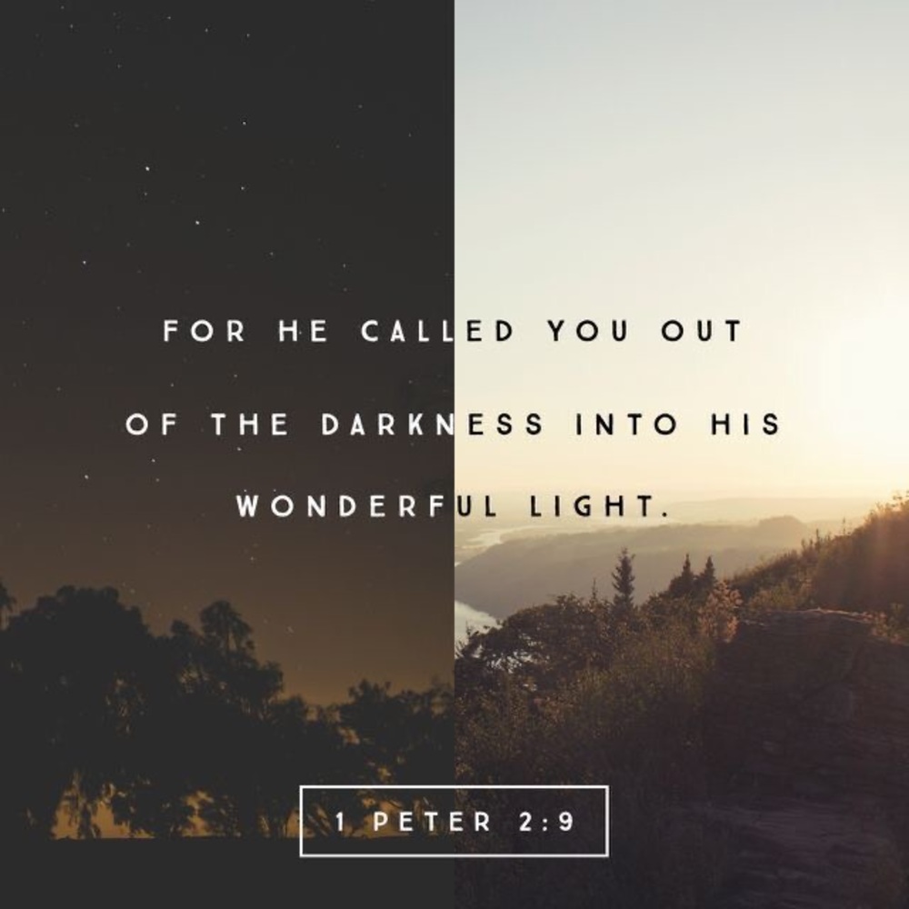 Meet your Posher, Inspired Designs